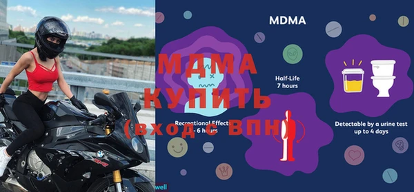 ГАЛЛЮЦИНОГЕННЫЕ ГРИБЫ Дмитриев