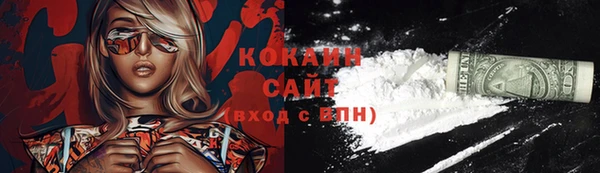 ГАЛЛЮЦИНОГЕННЫЕ ГРИБЫ Дмитриев