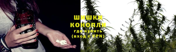 ГАЛЛЮЦИНОГЕННЫЕ ГРИБЫ Дмитриев