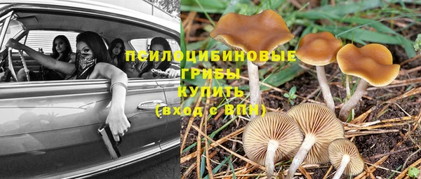 крисы Гусиноозёрск
