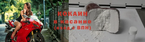 ГАЛЛЮЦИНОГЕННЫЕ ГРИБЫ Дмитриев