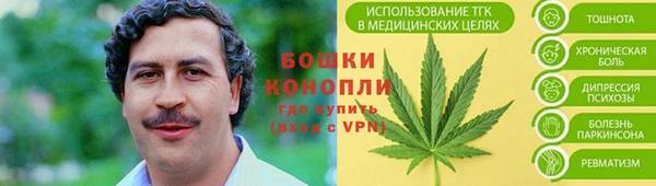 ГАЛЛЮЦИНОГЕННЫЕ ГРИБЫ Дмитриев