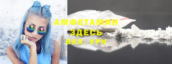 ГАЛЛЮЦИНОГЕННЫЕ ГРИБЫ Дмитриев