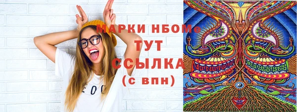 ГАЛЛЮЦИНОГЕННЫЕ ГРИБЫ Дмитриев