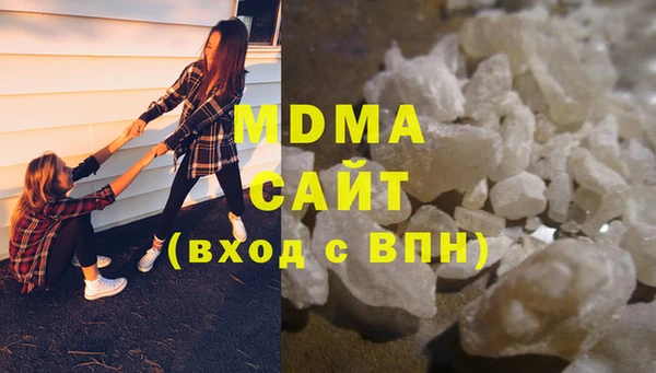 ГАЛЛЮЦИНОГЕННЫЕ ГРИБЫ Дмитриев