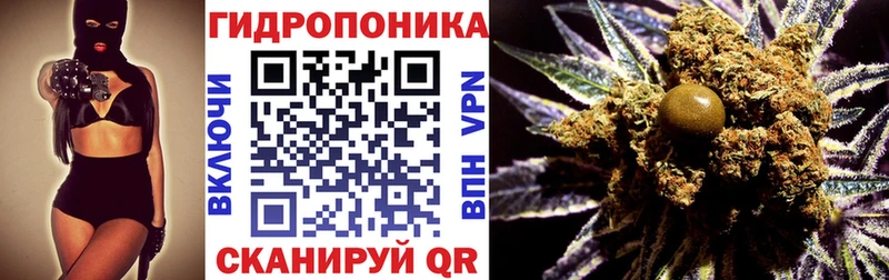 Бошки Шишки OG Kush  Купить где  Каменка 